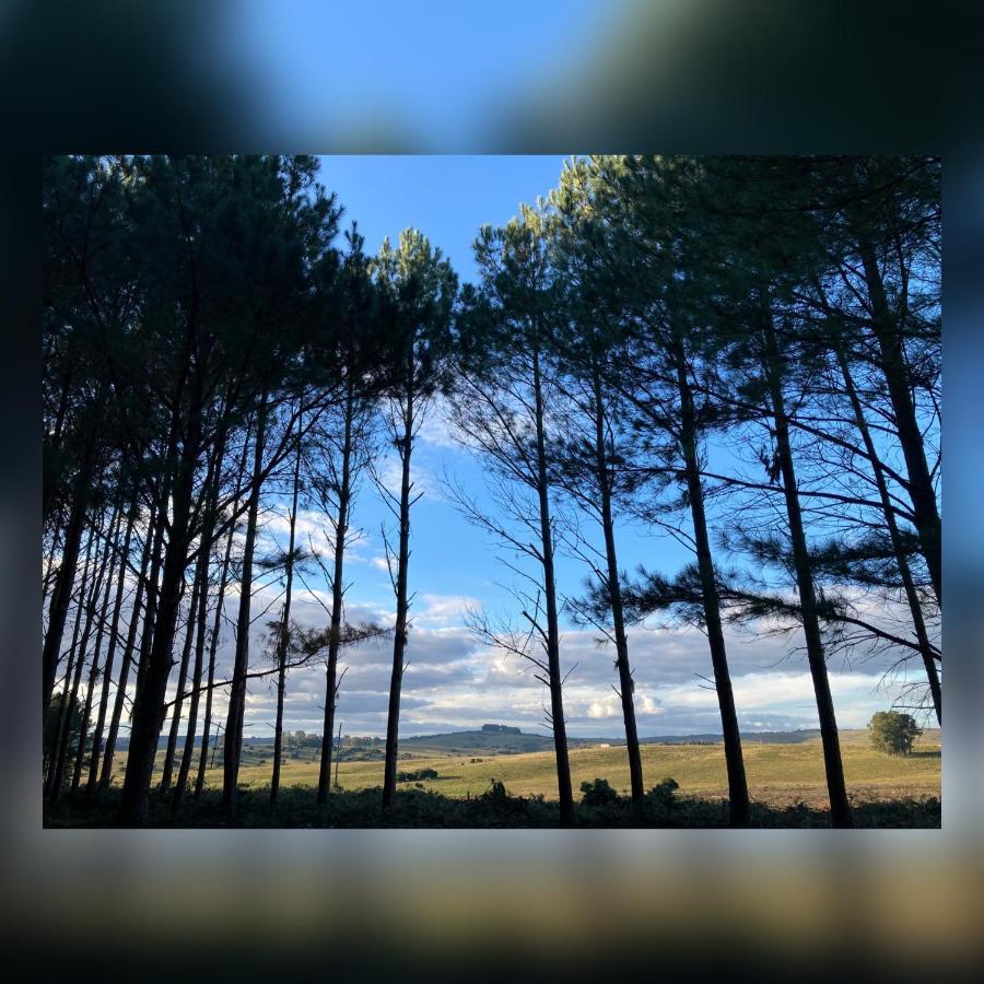 Villa Pinos De La Quebrada Quebrada de los Cuervos Exterior foto