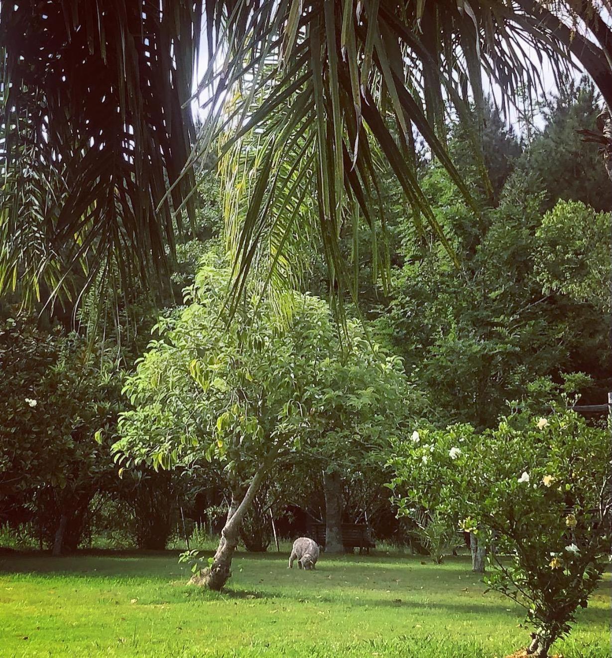 Villa Pinos De La Quebrada Quebrada de los Cuervos Exterior foto