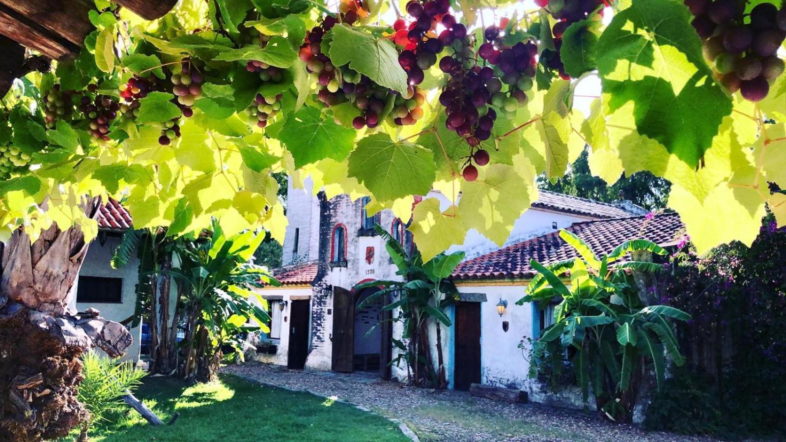 Villa Pinos De La Quebrada Quebrada de los Cuervos Exterior foto