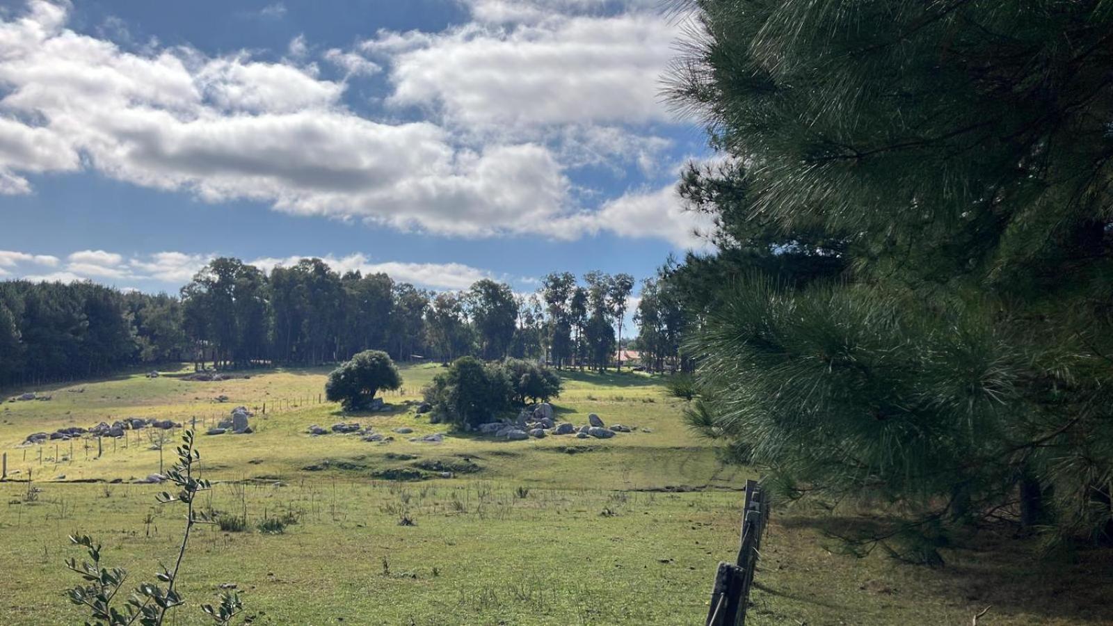 Villa Pinos De La Quebrada Quebrada de los Cuervos Exterior foto