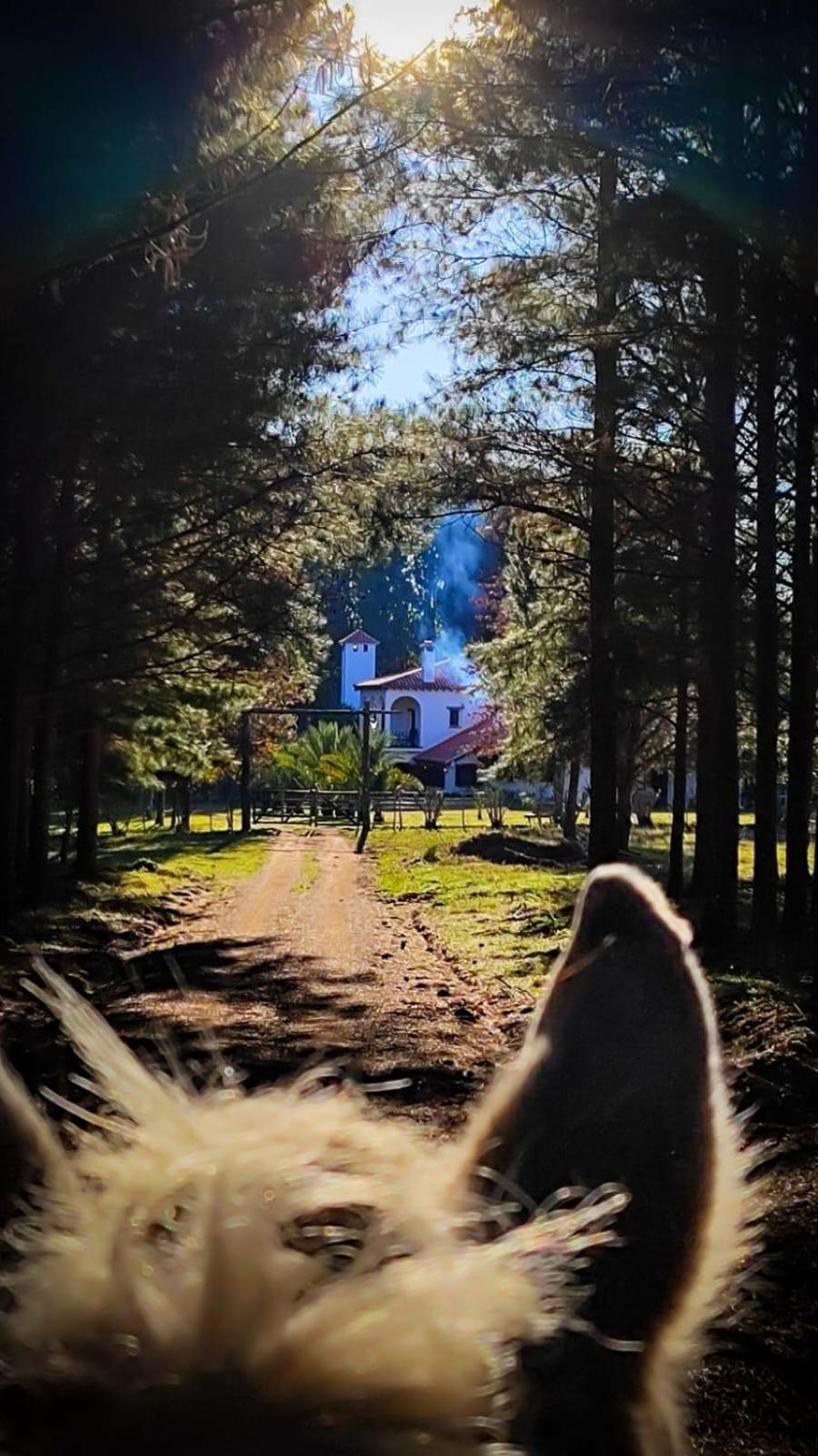 Villa Pinos De La Quebrada Quebrada de los Cuervos Exterior foto