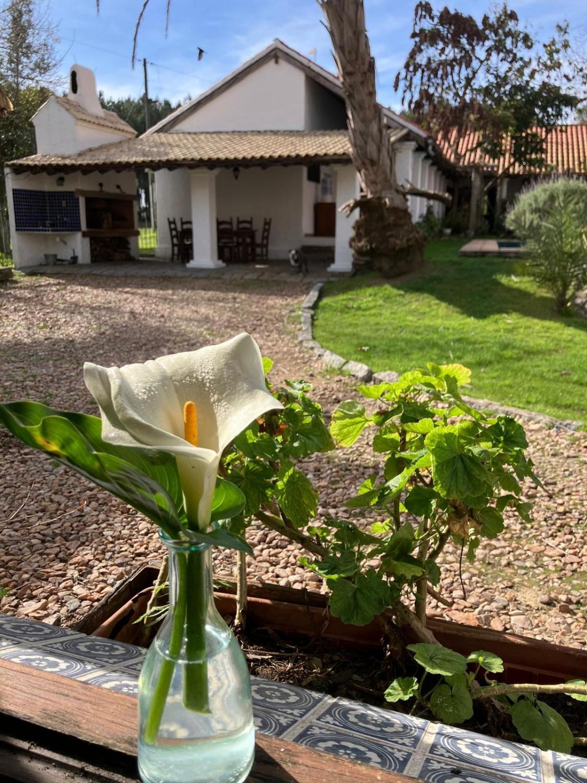 Villa Pinos De La Quebrada Quebrada de los Cuervos Exterior foto