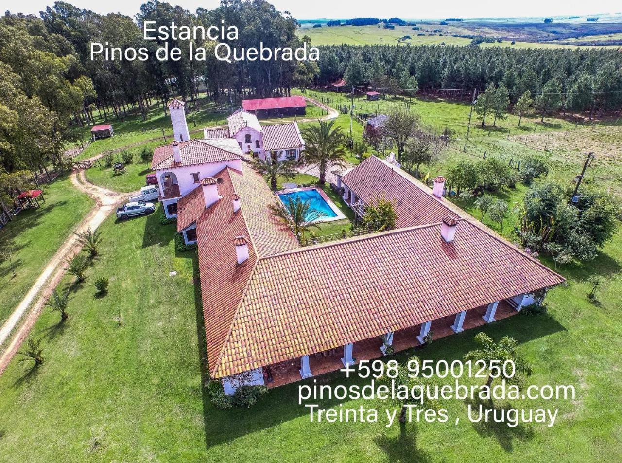 Villa Pinos De La Quebrada Quebrada de los Cuervos Exterior foto